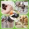 Bozal para Perros Malla de Aire Suave y Transpirable Cubierta