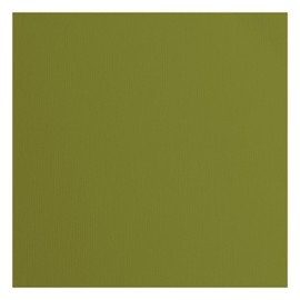 Vaessen Creative Florence Cardstock Paper Green 216gsm Square 12" x 12" 20 Pack Texture for Scrapbooking, Card Making, Die Cutting and Other Paper Crafts