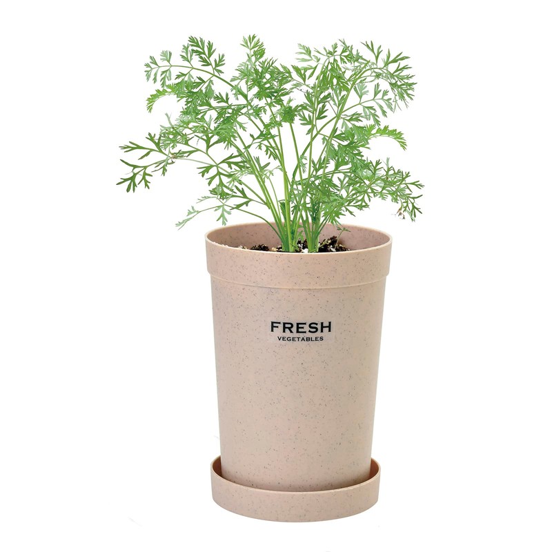 Seishin Pottery Home Root Vegetable Cultivation Set, Carrots