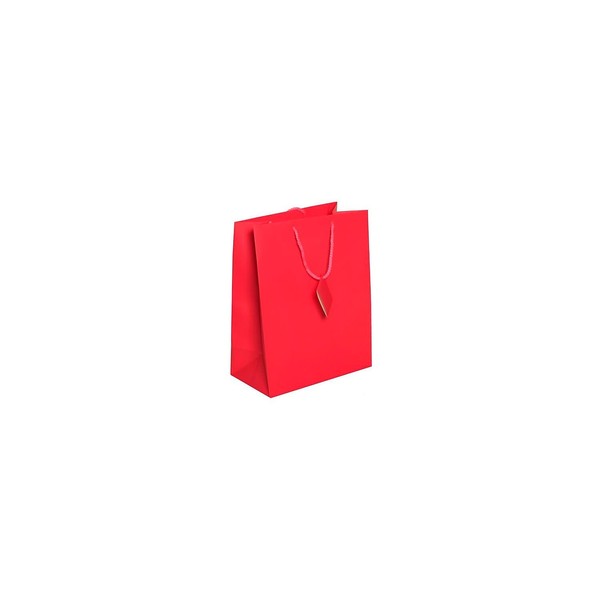 JAM Paper Gift Bags with Rope Handles - Large - 10 x 13 x 5 - Hot Pink Matte - 3/Pack