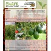 Fertilizante Aminoácidos Aminol 75 1 Kg