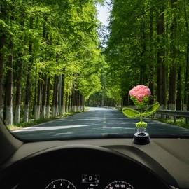 KIAYOO Car Bobble Head Pink Rose, Funny Dashboard Accessory Interior Shaking Heads Nodding Doll, Home Office Ornaments Decor, Fun Gifts for Him Her Men Women Friends Boyfriend Birthday Christmas