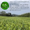 Kanoya Deep Steamed Tea Tenjin (Tenjin) 3.5 oz (100 g),