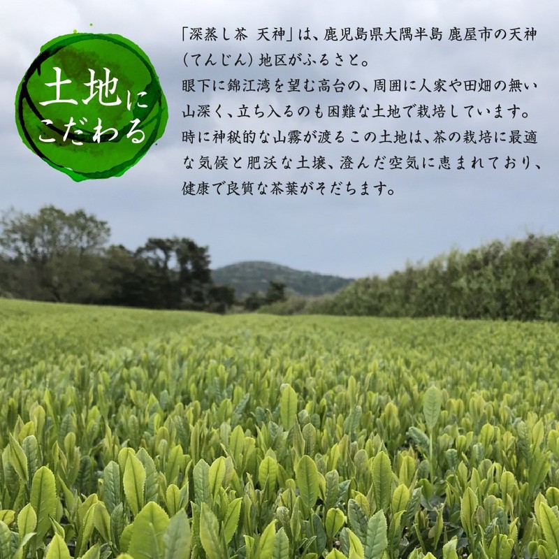 Kanoya Deep Steamed Tea Tenjin (Tenjin) 3.5 oz (100 g),