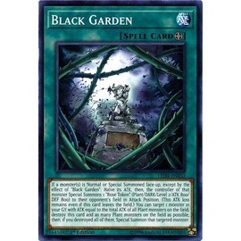 Yu-Gi-Oh! - Black Garden - LED4-EN032 - Legendary Duelists: Sisters of the Rose - 1st Edition - Common