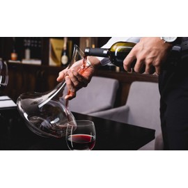 Eternal Living Wine Decanter Carafe Aerator with Stemless Wine Glasses Hand Blown Crystal Glass 5 pieces Set