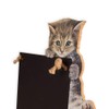 Chalkboards UK Small Memo Board/Chalkboard/Blackboard/Kitchen Chalk Board with Printed Kitten