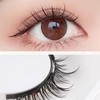Magnetic False Eyelashes, Integrated Magnetic Eyelashes, Natural Black, Magnetic Eyelashes,