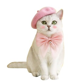 Dog Beret Hats Cats Hats Fashion Four Seasons Funny Wool Winter Pet Hat (Pink)