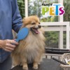 Fancy Pets Cepillo Cerdas Suaves y Medias para Perro Tamaño