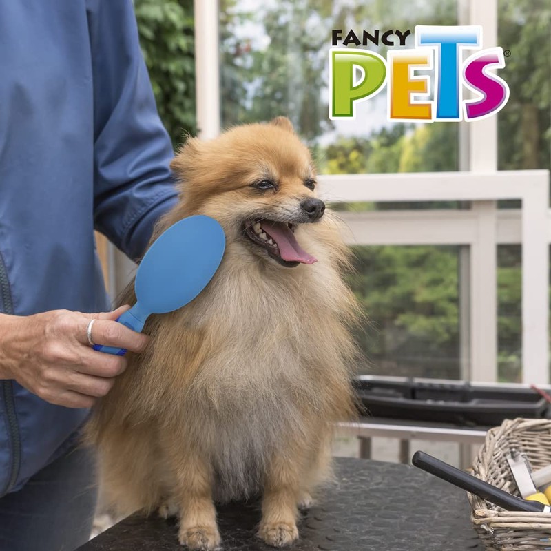 Fancy Pets Cepillo Cerdas Suaves y Medias para Perro Tamaño