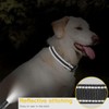 Reflective Dog Collar, Adjustable Nylon Collars with Safety Buckle, Pet