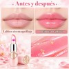 FirstFly - Juego de 6 lápices labiales nutritivos de larga