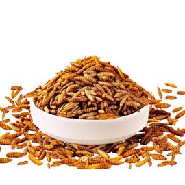 MTART 5LB Dried Black Soldier Fly Larvae Treat for Chicken, 100% Natural Non-GMO More Calcium Than Dried Mealworms High Protein Chicken Feed for Birds, Ducks, Layer Hens