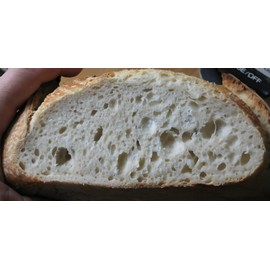 Unbranded SAN FRANCISCO SOURDOUGH STARTER yeast flour mix sally  BEST SELLER NEW