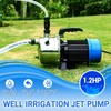 Shallow Well Pump with Pressure Tank: DEKOPRO 1.2HP Water Jet