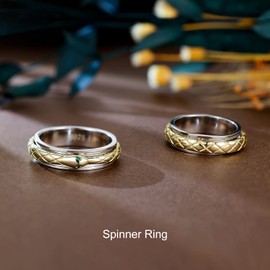 LEXLUNE Fidget Ring Spinner Ring for Anxiety Women Men Girlfriend Daughter Real S925 Sterling Silver Band Ring (Snake-Gold, 10)