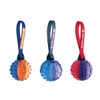 SPOT Ethical Pets Push to Mute Dog Toy, Ball with