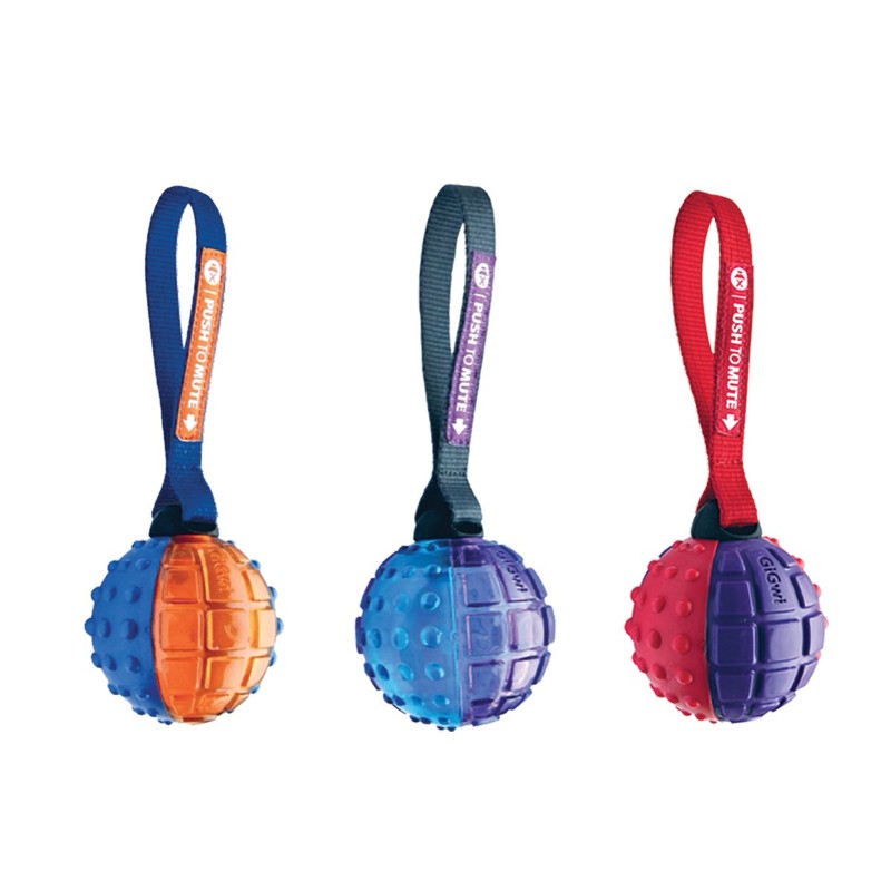 SPOT Ethical Pets Push to Mute Dog Toy, Ball with