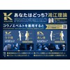 KOUNOE F KZ4FBL12U Training Supporter Konoe Belt Wrist Black (BK00)