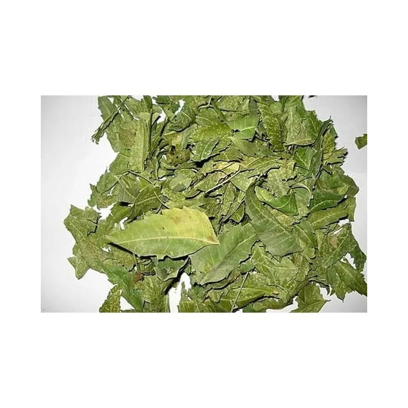 B-EXPERTS Hoja Neem TE 4 oz .113g. Neem Leaf Herb