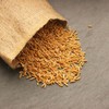 Organic Kamut Seed- 5 Lb- Kamut Grain Seeds- For Growing