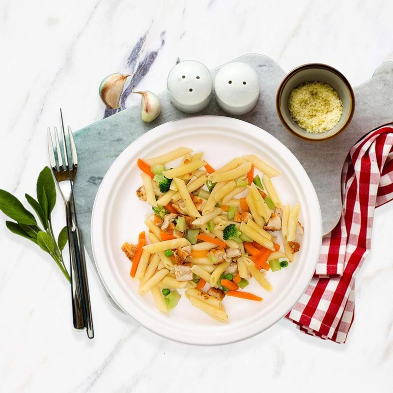 PRISTINE ENTERPRISE Disposable Plates - 9 Inch Rigid Biodegradable and