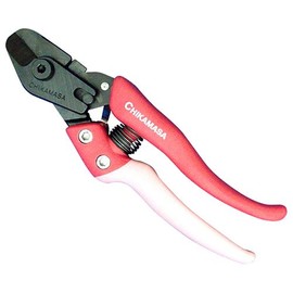 tikamasa a-texifisyarukatta-