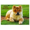 Chow Chow Dog Birthday Card