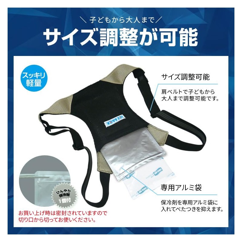 BRAIN Cool DE ICE BR-530 Ice Bag 2 (with ice