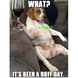 Unbranded FUNNY DOG DRINKING REFRIGERATOR MAGNET LOCKER GLOSSY CHRISTMAS MAN CAVE GAG GIFT