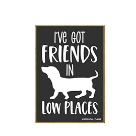 Honey Dew Gifts, I've Got Friends in Low Places, 2.5 Inch by 3.5 Inch, Funny Refrigerator Magnets, Decorative Magnets, Dachshund Gifts, Dachshund Decor, Funny Dog Stuff, 754053