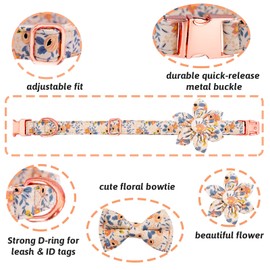 HSIGIO Dog Collar and Leash Set Girls Adjustable Puppy Collars with Floral Bow Tie for Small Medium Large Female Dogs, Orange Flower, S