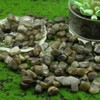 VMDEKK Labradorite Natural Tumbled Stones and Crystals in Bulk for