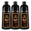 Shampoo Tinte Cubre Canas Natural Jengibre Sin Caja 3pz Full