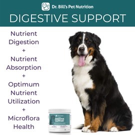 Dr. Bill’s Canine Digestive Support | Pet Supplements | Probiotics for Dogs | Contains Ginger Root, Psyllium Husk, Lemon Balm, Bifidobacterium, and Fructooligosaccharides