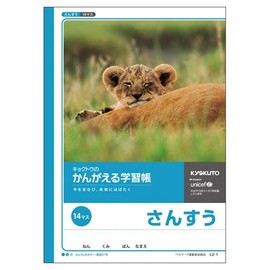 Japanese Notebook (Kyo Kangeru Learning Book, Math 14 Squares, Set of 2)