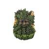 Nemesis Now D4267M8 Elderwood Wall Plaque 19cm Green, Polyresin, 23.8cm