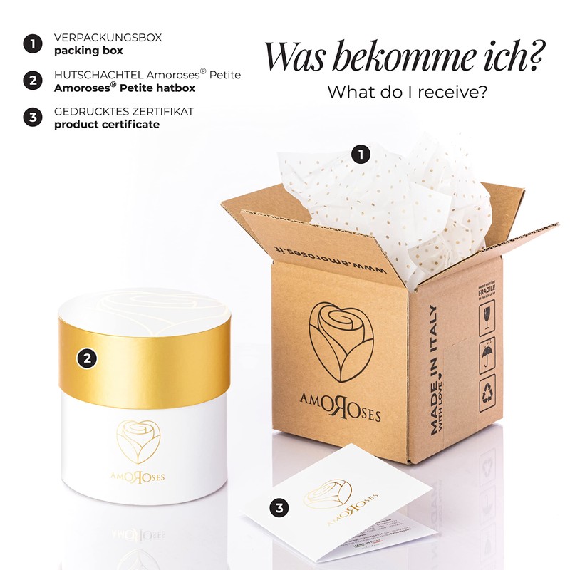 Amoroses Petite - Gift Box 5 Eternal Stabilised Roses -
