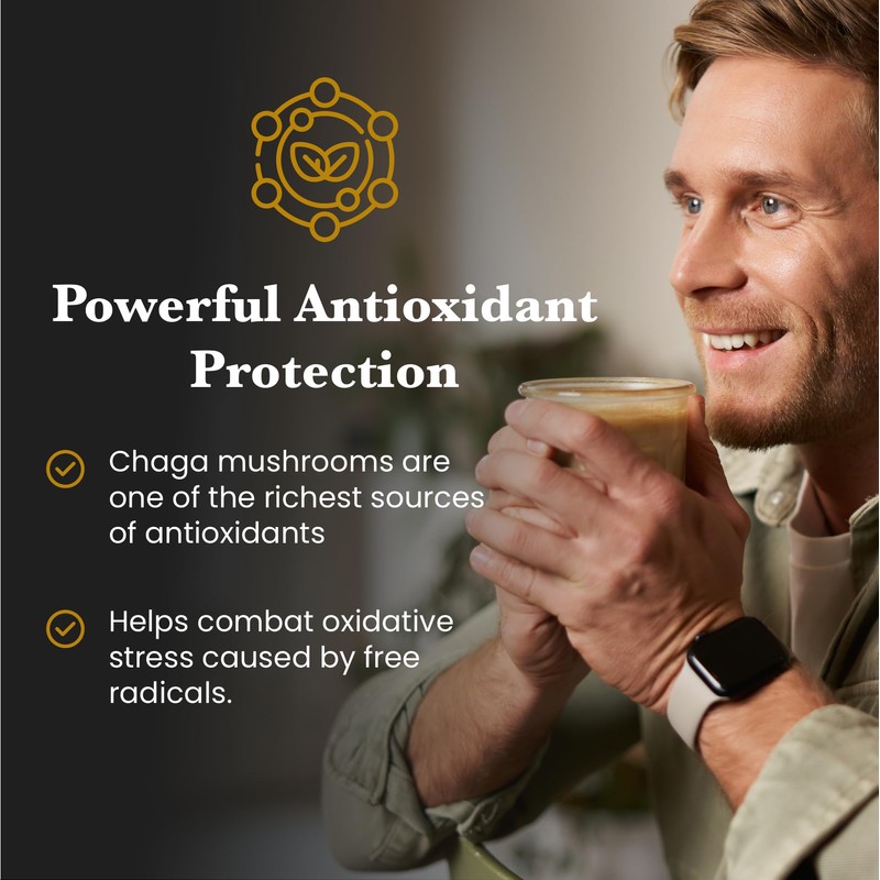 Ancient Extracts Chaga Mushroom Extract Powder - Minimum 30% Beta