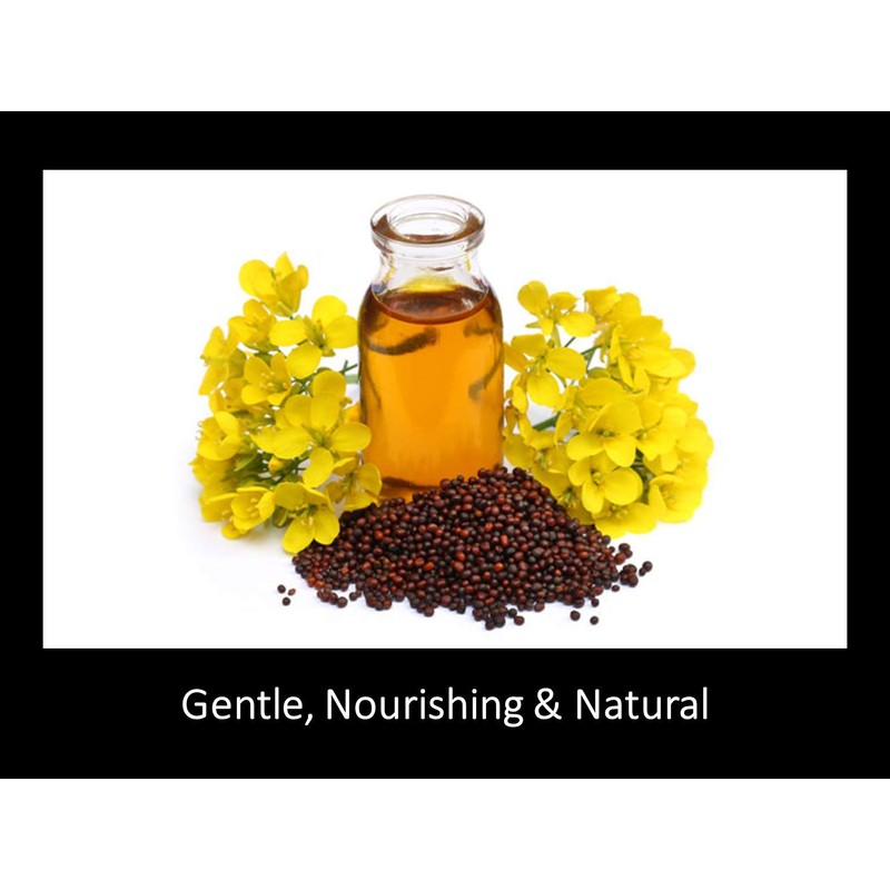 Daana Organic Mustard/Rapeseed Oil for Skin: Extra Virgin, Cold Pressed