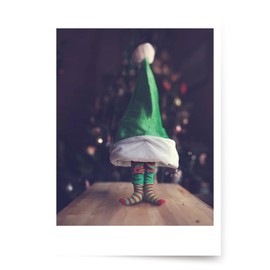 PALM PRESS Photographic Christmas Cards, Elf and Seek (6 Cards with White Envelopes)