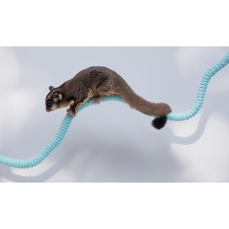 Jinymral Sugar Glider Cage Accessories, Ideal Climbing Toys Supplies for
