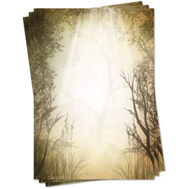 Lysco Natural Certified Design Letter Paper DIN A4 25 Sheets Writing Paper – Forest Sun Rays Clearing
