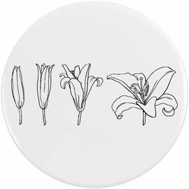 Azeeda 2 x 38mm 'Blüte Lilie' Pin Knopf-Abzeichen (BB00133657)
