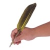 Feather Pen Set with 5 Interchangeable Nib Letter Opener Pen