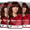Brillance Intensive Colour Cream 869 Chestnut Brown (3 x 170
