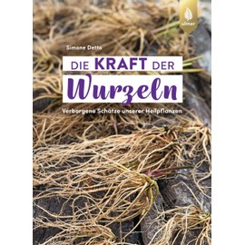 Die Kraft der Wurzeln: Verborgene Schätze unserer Heilpflanzen