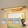 ZitoStory Gold Portrait Art Light Battery Operated Picture Light with