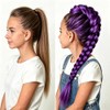 Purple Braided Ponytail Hair Extension, Claw Clip in Synthetic Braid